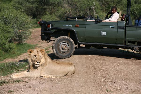 Tau Game Lodge Madikwe Game Reserve Zewnętrze zdjęcie